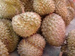 el stinko (a.k.a. durian)